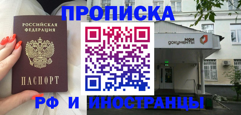 где прописаться в Камышине